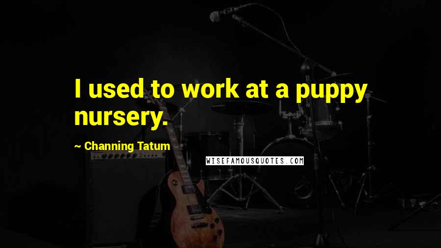 Channing Tatum Quotes: I used to work at a puppy nursery.