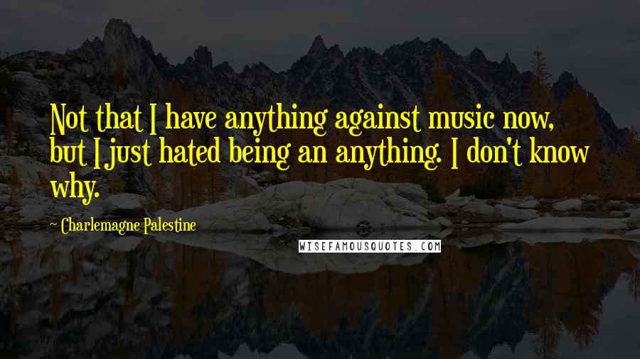 Charlemagne Palestine Quotes: Not that I have anything against music now, but I just hated being an anything. I don't know why.