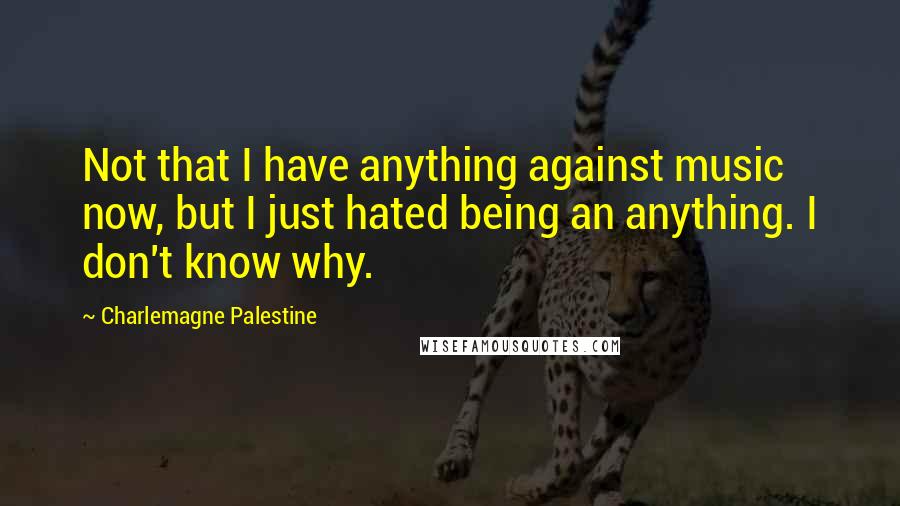 Charlemagne Palestine Quotes: Not that I have anything against music now, but I just hated being an anything. I don't know why.