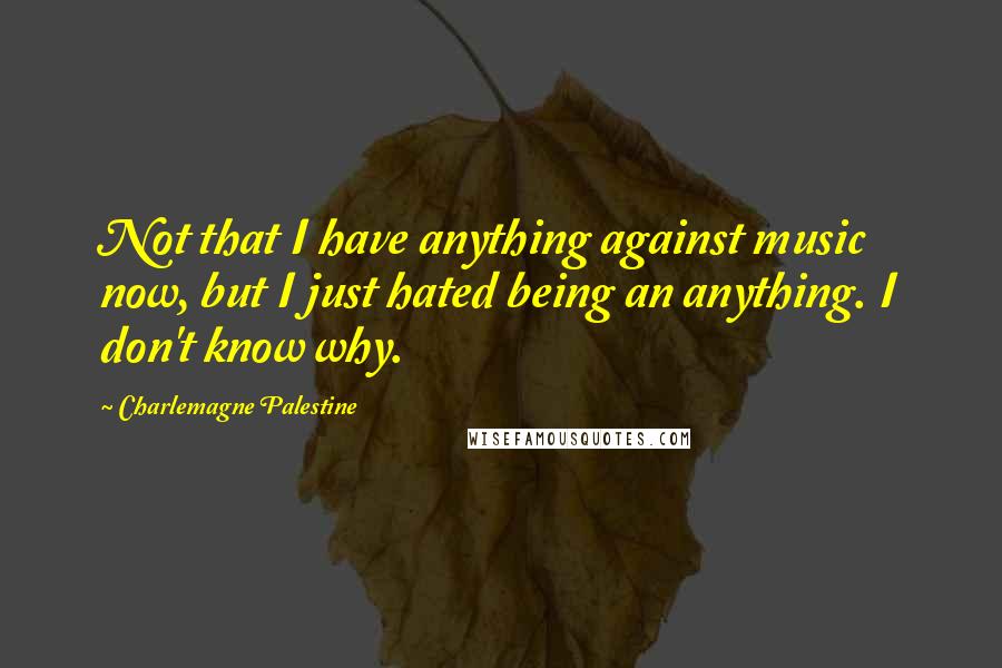 Charlemagne Palestine Quotes: Not that I have anything against music now, but I just hated being an anything. I don't know why.