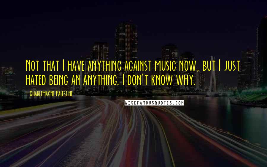 Charlemagne Palestine Quotes: Not that I have anything against music now, but I just hated being an anything. I don't know why.