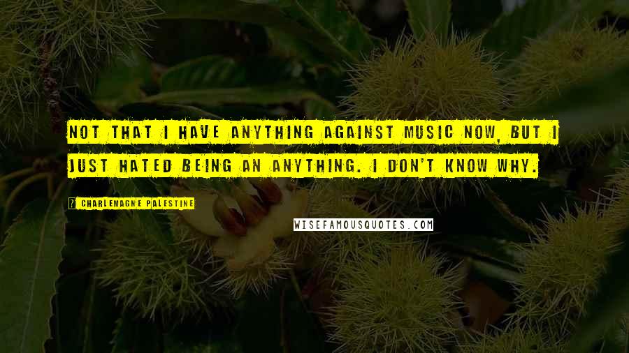 Charlemagne Palestine Quotes: Not that I have anything against music now, but I just hated being an anything. I don't know why.