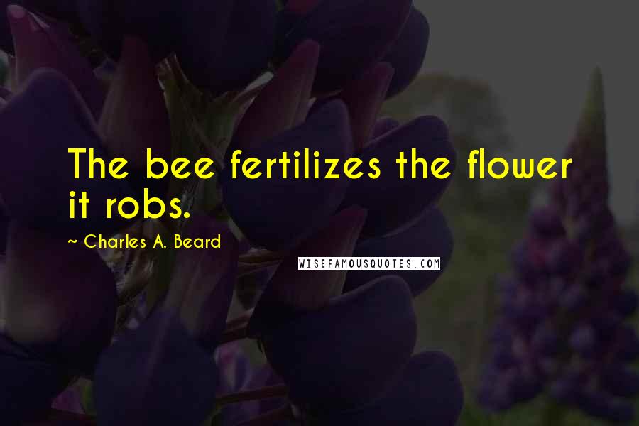 Charles A. Beard Quotes: The bee fertilizes the flower it robs.