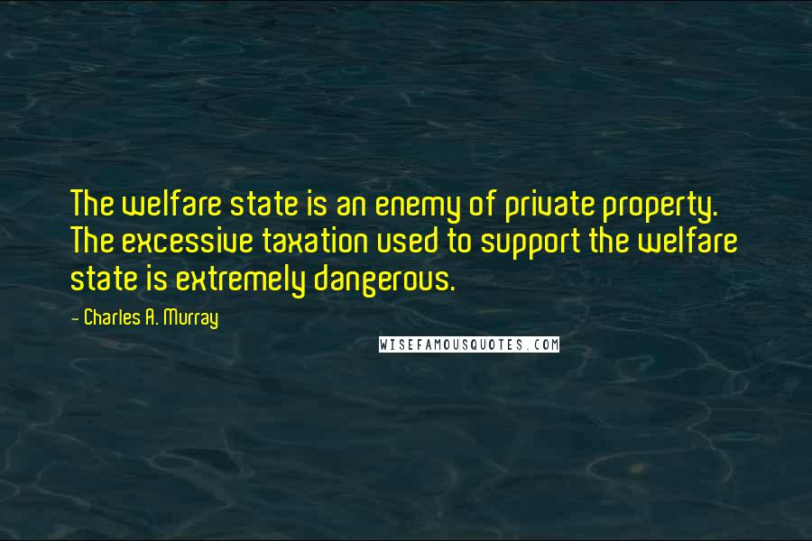 Charles A. Murray Quotes: The welfare state is an enemy of private property. The excessive taxation used to support the welfare state is extremely dangerous.