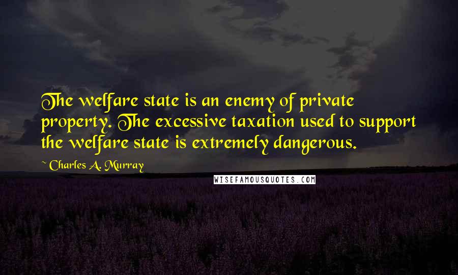 Charles A. Murray Quotes: The welfare state is an enemy of private property. The excessive taxation used to support the welfare state is extremely dangerous.