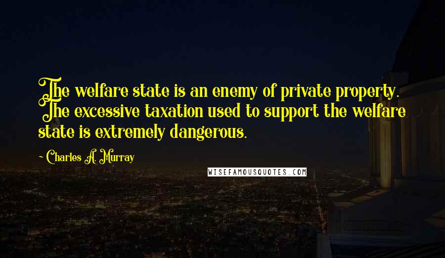 Charles A. Murray Quotes: The welfare state is an enemy of private property. The excessive taxation used to support the welfare state is extremely dangerous.