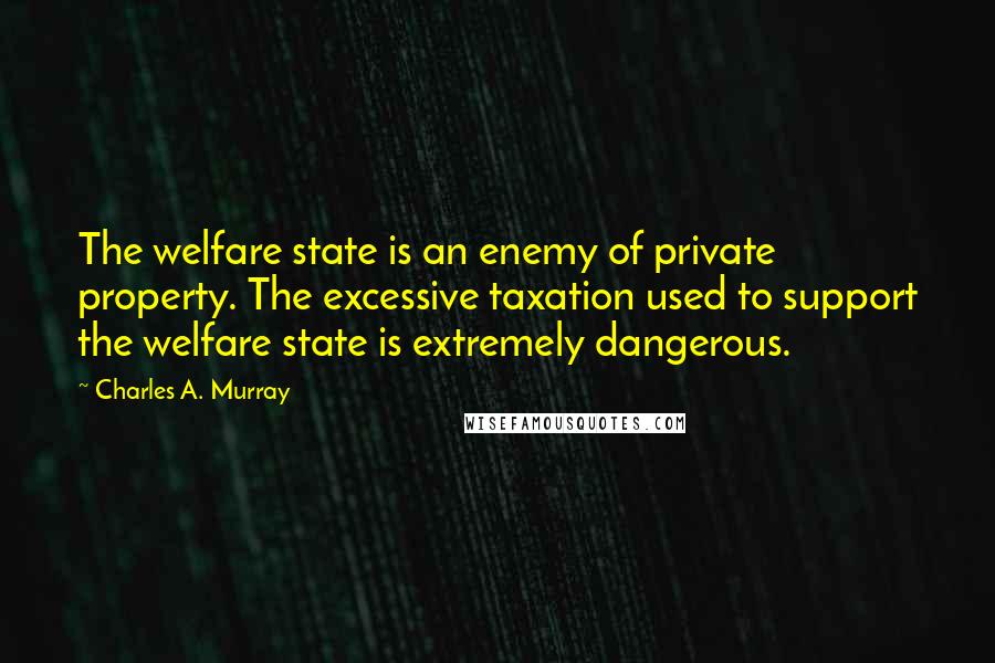 Charles A. Murray Quotes: The welfare state is an enemy of private property. The excessive taxation used to support the welfare state is extremely dangerous.