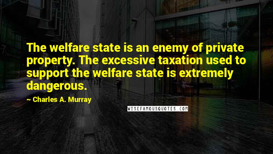 Charles A. Murray Quotes: The welfare state is an enemy of private property. The excessive taxation used to support the welfare state is extremely dangerous.