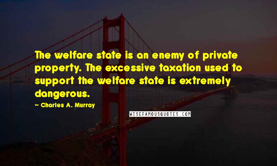 Charles A. Murray Quotes: The welfare state is an enemy of private property. The excessive taxation used to support the welfare state is extremely dangerous.