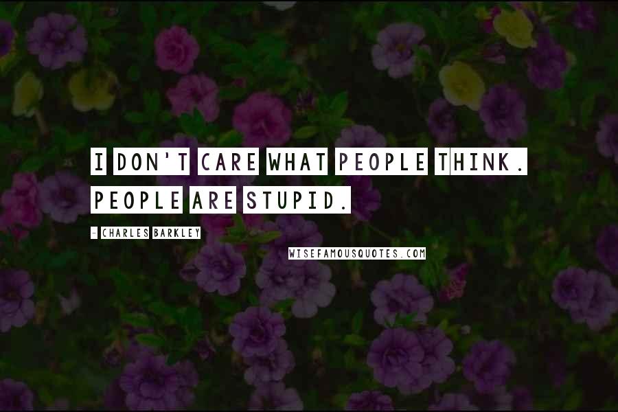 Charles Barkley Quotes: I don't care what people think. people are stupid.