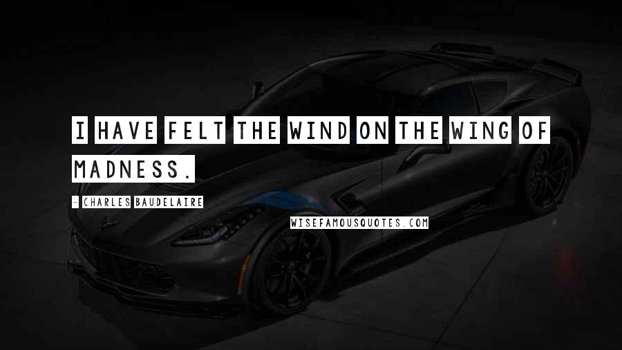 Charles Baudelaire Quotes: I have felt the wind on the wing of madness.