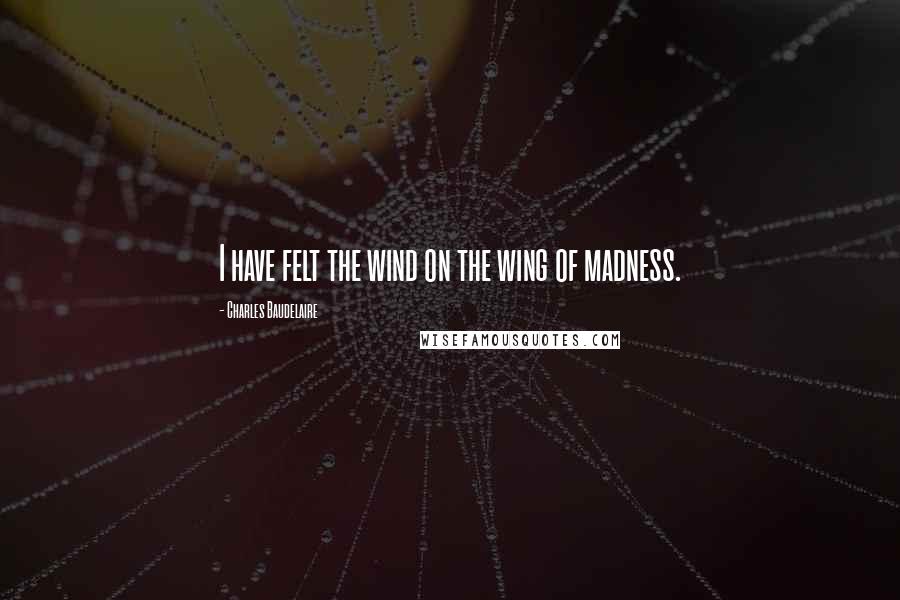 Charles Baudelaire Quotes: I have felt the wind on the wing of madness.