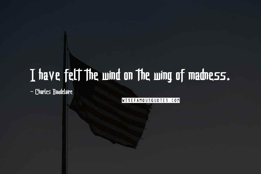 Charles Baudelaire Quotes: I have felt the wind on the wing of madness.