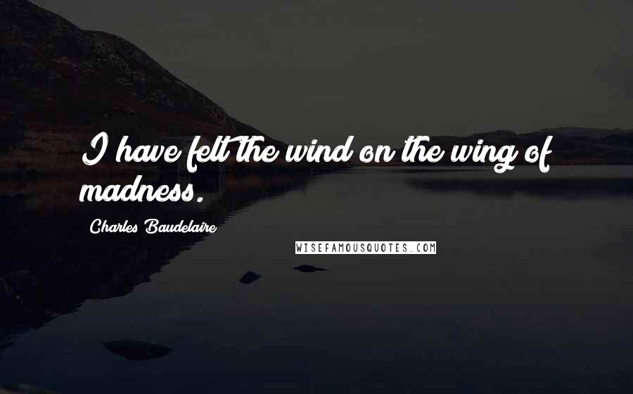 Charles Baudelaire Quotes: I have felt the wind on the wing of madness.