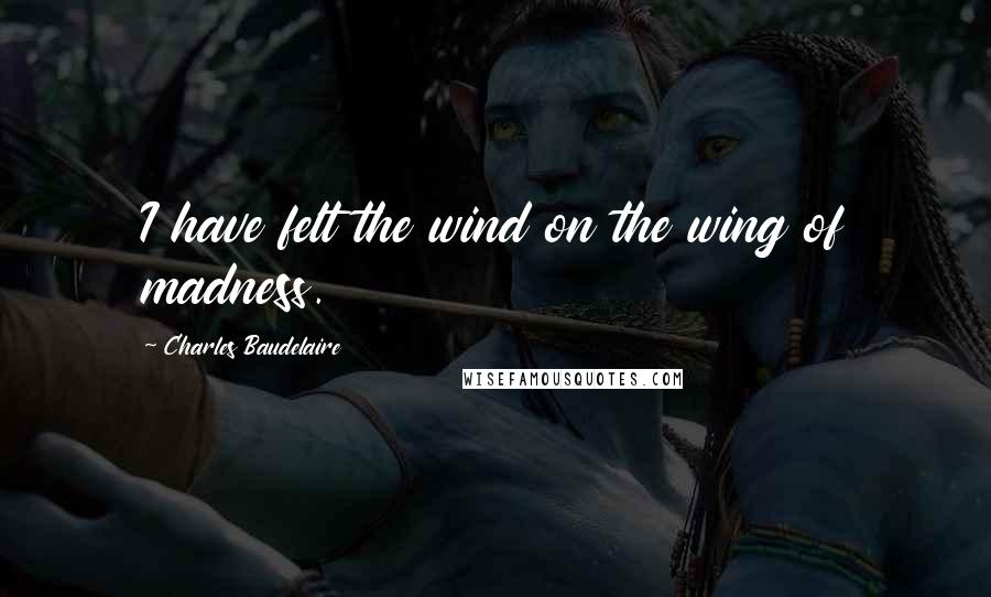 Charles Baudelaire Quotes: I have felt the wind on the wing of madness.