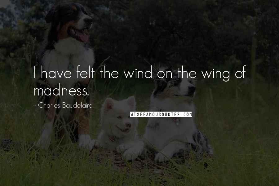 Charles Baudelaire Quotes: I have felt the wind on the wing of madness.