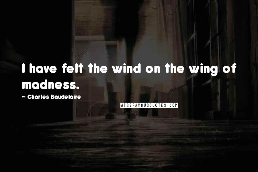 Charles Baudelaire Quotes: I have felt the wind on the wing of madness.