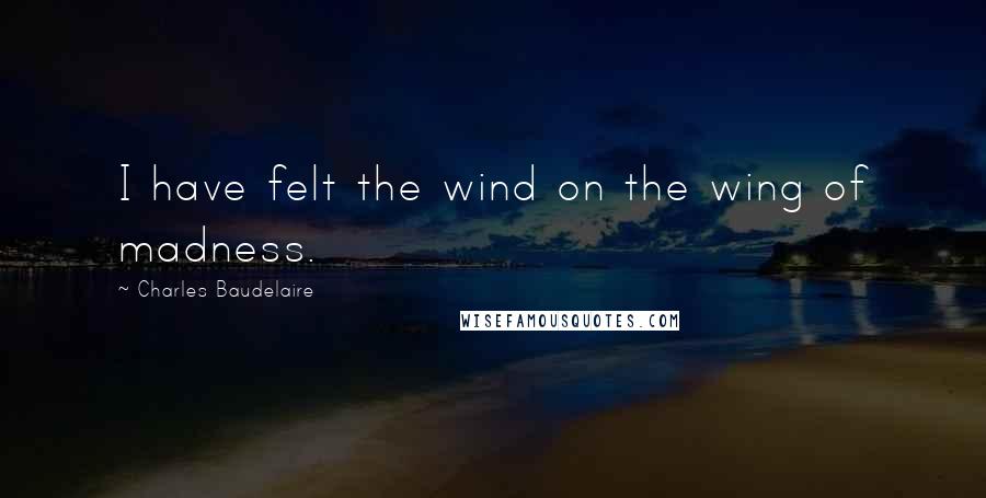 Charles Baudelaire Quotes: I have felt the wind on the wing of madness.