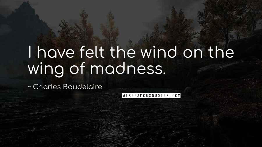 Charles Baudelaire Quotes: I have felt the wind on the wing of madness.