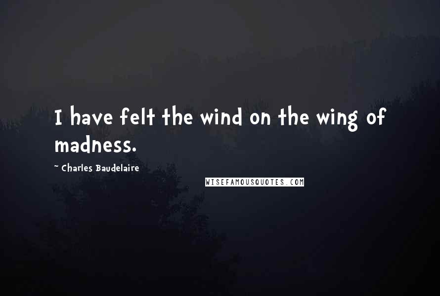 Charles Baudelaire Quotes: I have felt the wind on the wing of madness.