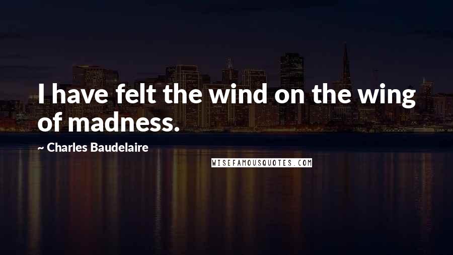 Charles Baudelaire Quotes: I have felt the wind on the wing of madness.