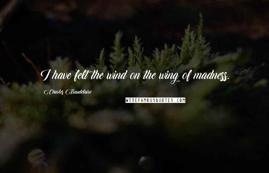 Charles Baudelaire Quotes: I have felt the wind on the wing of madness.