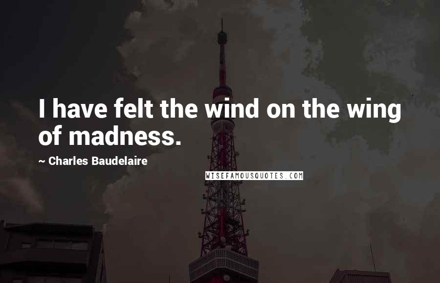 Charles Baudelaire Quotes: I have felt the wind on the wing of madness.