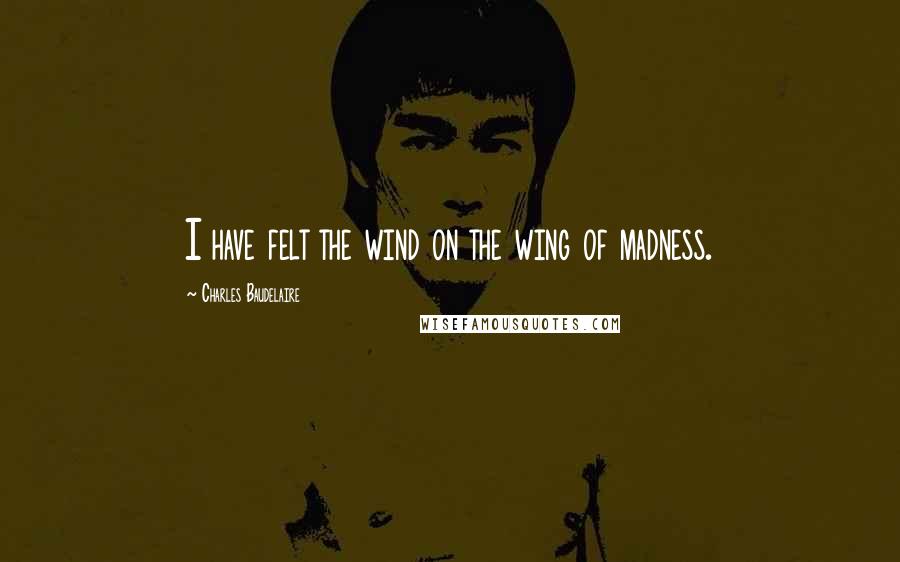 Charles Baudelaire Quotes: I have felt the wind on the wing of madness.