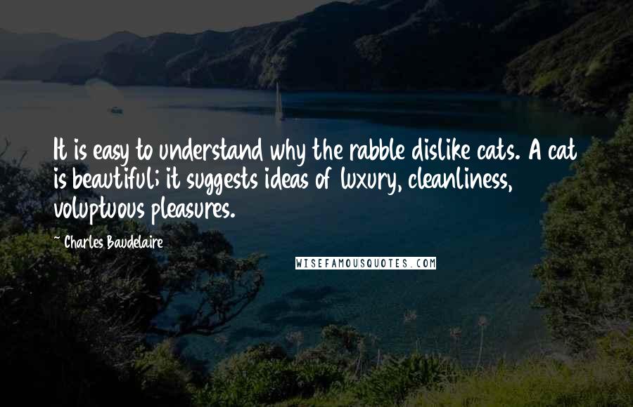 Charles Baudelaire Quotes: It is easy to understand why the rabble dislike cats. A cat is beautiful; it suggests ideas of luxury, cleanliness, voluptuous pleasures.