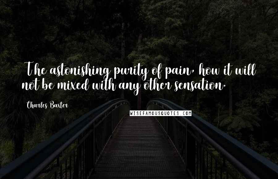 Charles Baxter Quotes: [T]he astonishing purity of pain, how it will not be mixed with any other sensation.