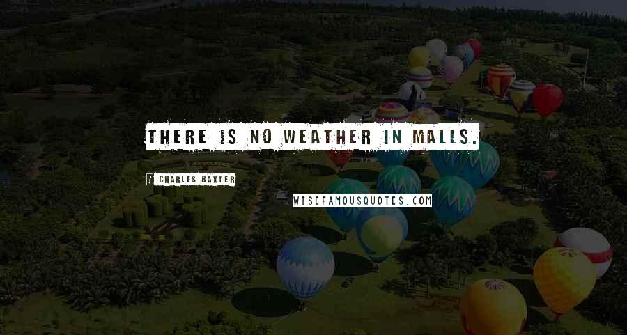 Charles Baxter Quotes: There is no weather in malls.