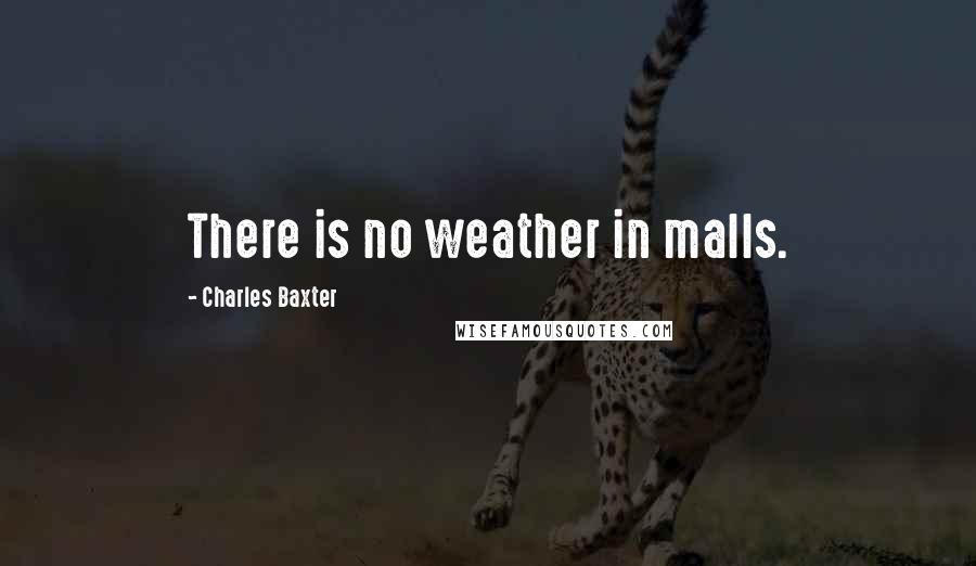 Charles Baxter Quotes: There is no weather in malls.