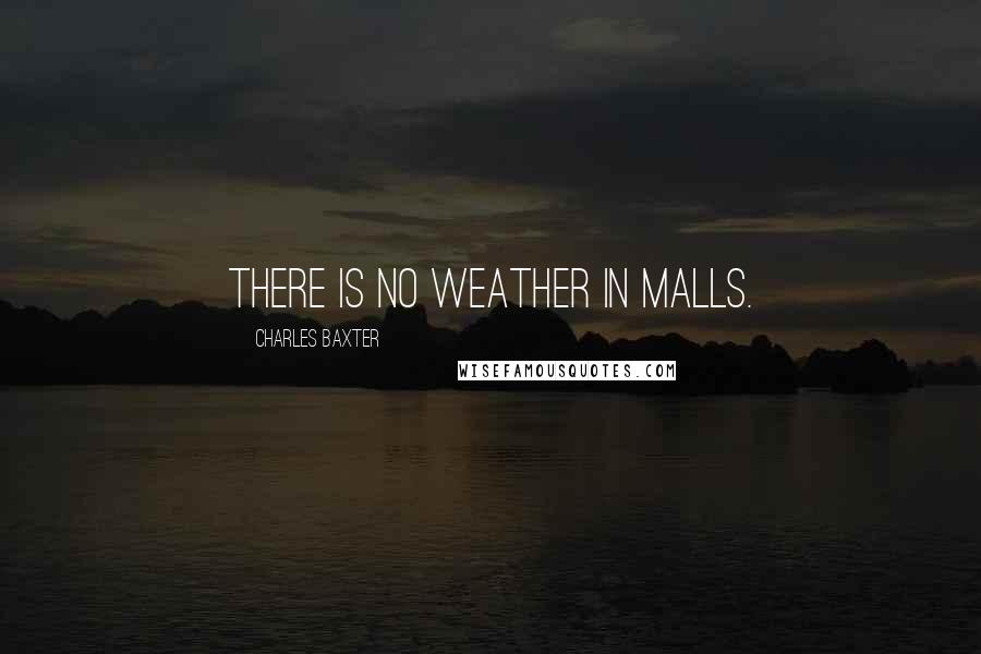 Charles Baxter Quotes: There is no weather in malls.