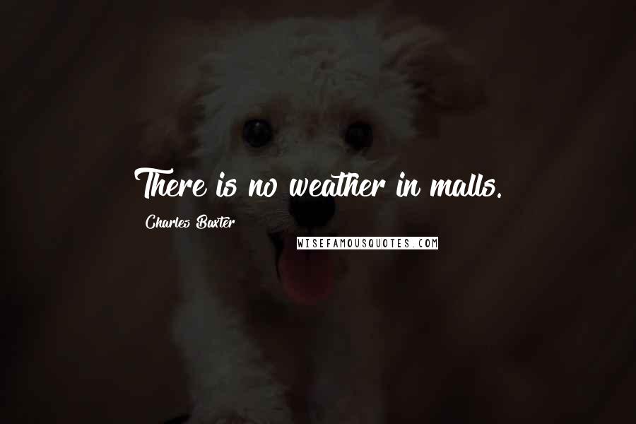 Charles Baxter Quotes: There is no weather in malls.