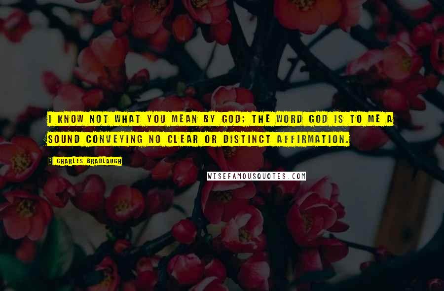 Charles Bradlaugh Quotes: I know not what you mean by God; the word God is to me a sound conveying no clear or distinct affirmation.