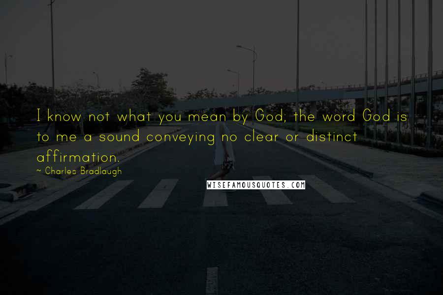 Charles Bradlaugh Quotes: I know not what you mean by God; the word God is to me a sound conveying no clear or distinct affirmation.