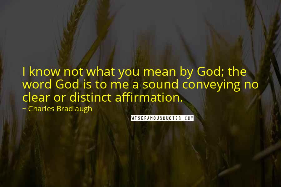Charles Bradlaugh Quotes: I know not what you mean by God; the word God is to me a sound conveying no clear or distinct affirmation.