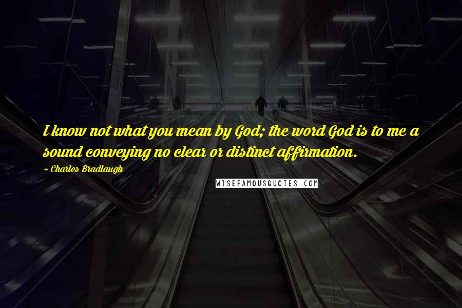 Charles Bradlaugh Quotes: I know not what you mean by God; the word God is to me a sound conveying no clear or distinct affirmation.