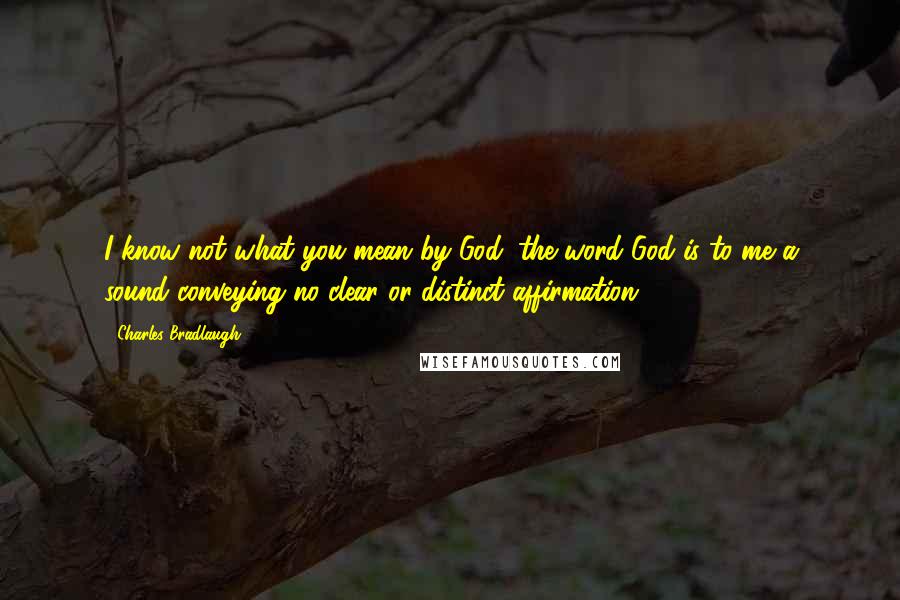 Charles Bradlaugh Quotes: I know not what you mean by God; the word God is to me a sound conveying no clear or distinct affirmation.