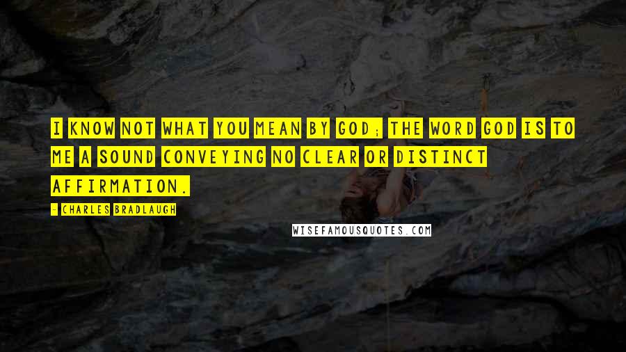 Charles Bradlaugh Quotes: I know not what you mean by God; the word God is to me a sound conveying no clear or distinct affirmation.