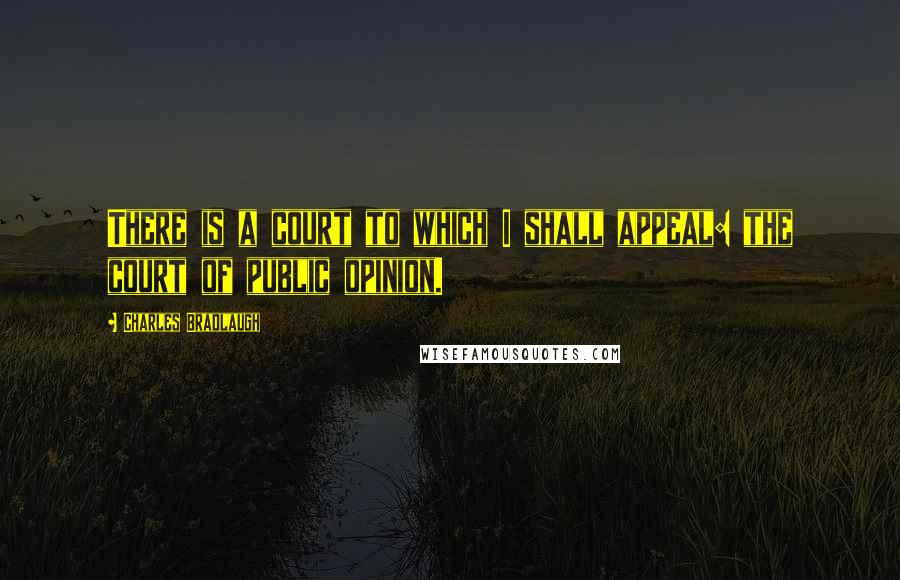 Charles Bradlaugh Quotes: There is a court to which I shall appeal: the court of public opinion.