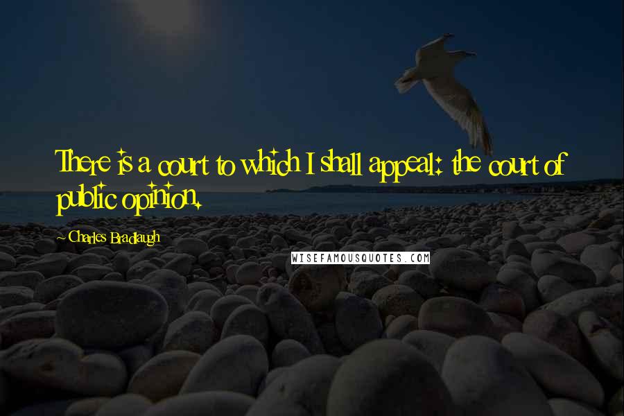 Charles Bradlaugh Quotes: There is a court to which I shall appeal: the court of public opinion.