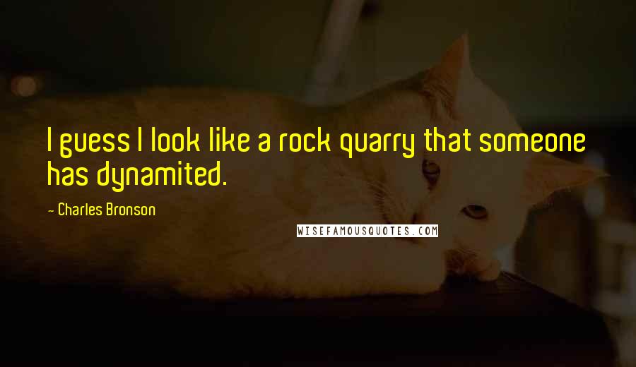 Charles Bronson Quotes: I guess I look like a rock quarry that someone has dynamited.
