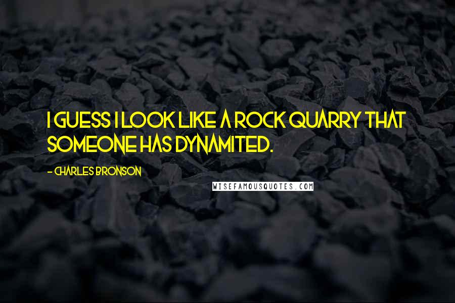 Charles Bronson Quotes: I guess I look like a rock quarry that someone has dynamited.