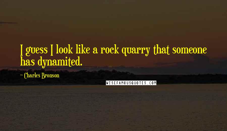 Charles Bronson Quotes: I guess I look like a rock quarry that someone has dynamited.