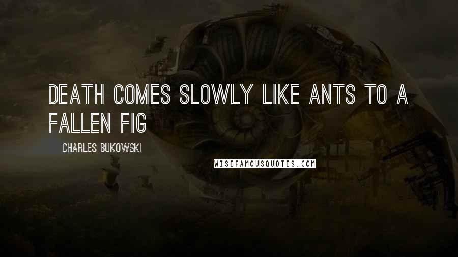 Charles Bukowski Quotes: DEATH COMES SLOWLY LIKE ANTS TO A FALLEN FIG