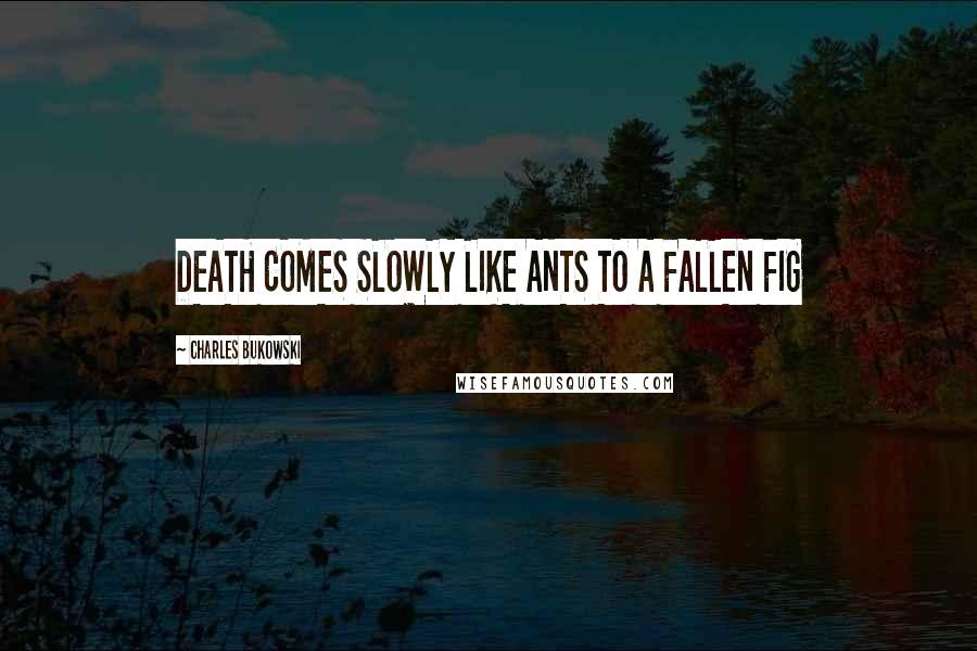 Charles Bukowski Quotes: DEATH COMES SLOWLY LIKE ANTS TO A FALLEN FIG