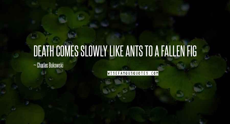 Charles Bukowski Quotes: DEATH COMES SLOWLY LIKE ANTS TO A FALLEN FIG