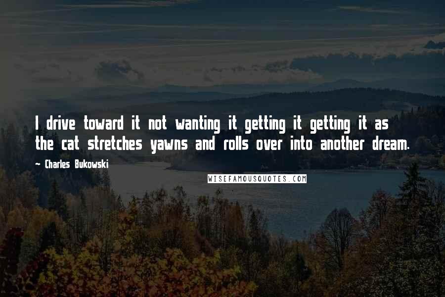 Charles Bukowski Quotes: I drive toward it not wanting it getting it getting it as the cat stretches yawns and rolls over into another dream.