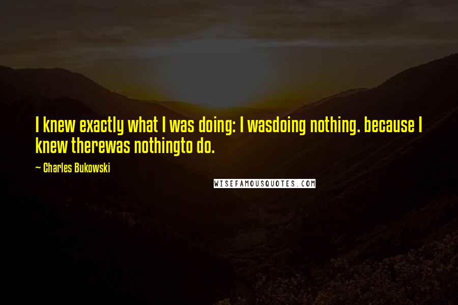 Charles Bukowski Quotes: I knew exactly what I was doing: I wasdoing nothing. because I knew therewas nothingto do.